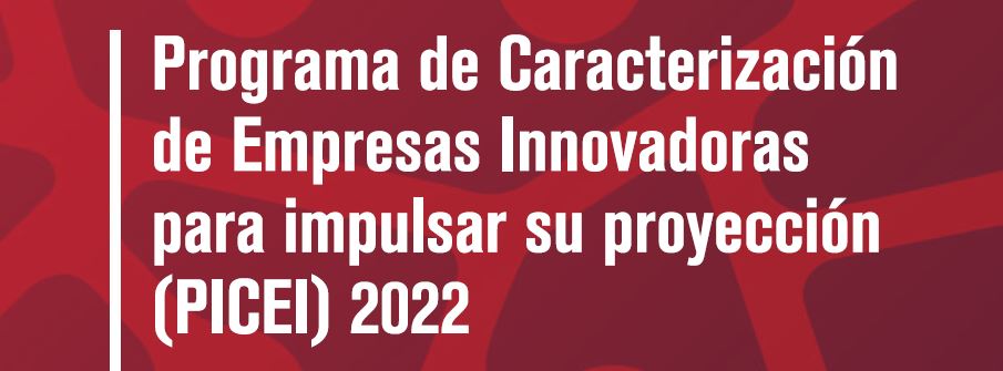 PICEI 2022 portada
