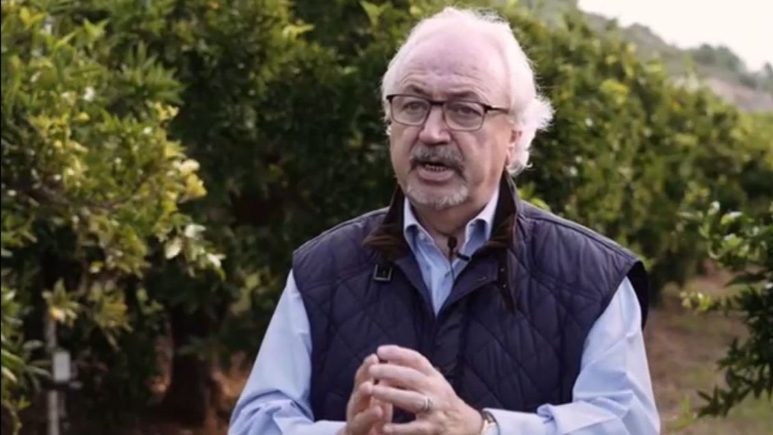 Pedro Beltrán Medina
Profesor ETSIAMN-Director de la Cátedra Frutinter - UPV